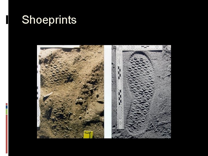 Shoeprints 