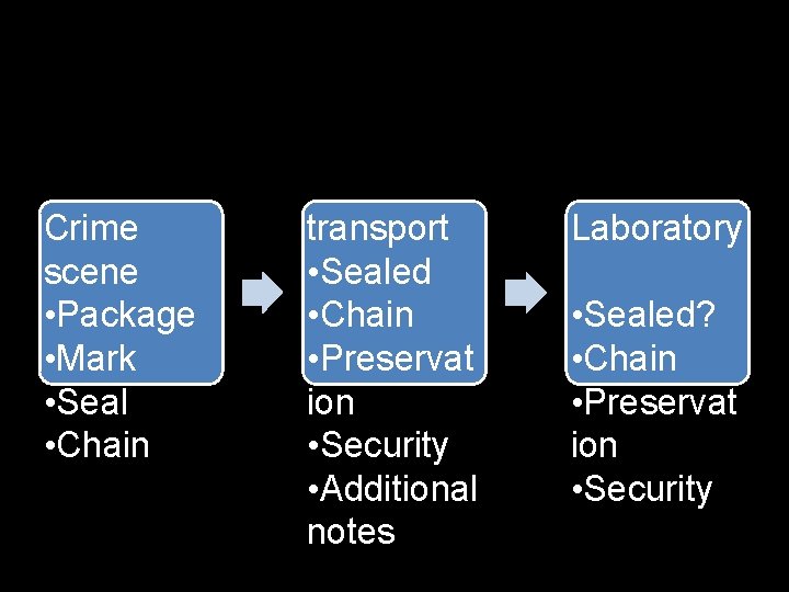 Crime scene • Package • Mark • Seal • Chain transport • Sealed •
