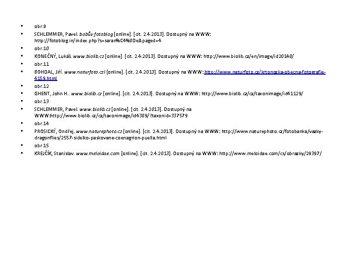 • • • • obr. 9 SCHLEMMER, Pavel. bobův fotoblog [online]. [cit. 2.