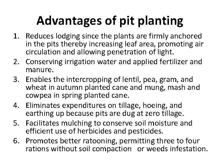 Advantages of pit planting 1. Reduces lodging since the plants are firmly anchored in Advantages of pit planting 1. Reduces lodging since the plants are firmly anchored in