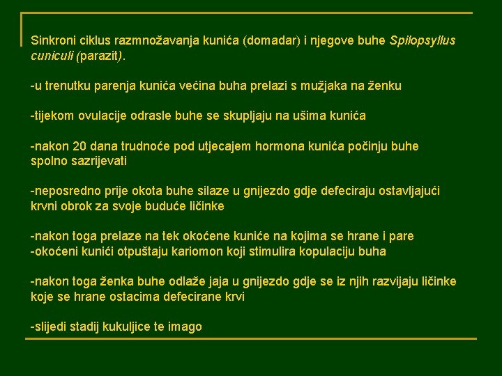 Sinkroni ciklus razmnožavanja kunića (domadar) i njegove buhe Spilopsyllus cuniculi (parazit). -u trenutku parenja