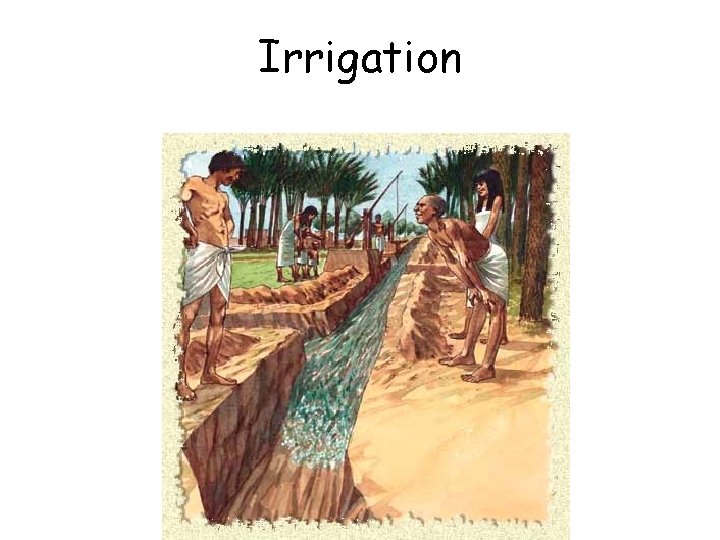 Irrigation 