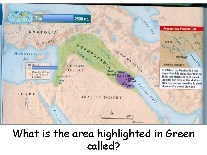 What is the area highlighted in Green called? 