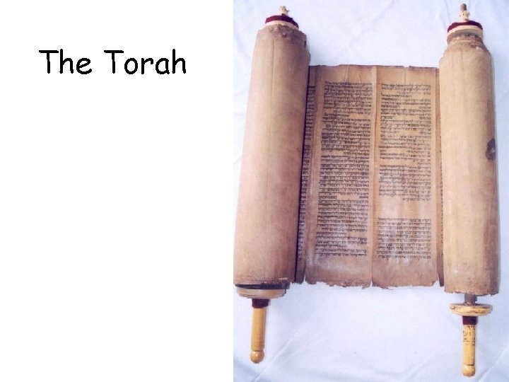 The Torah 