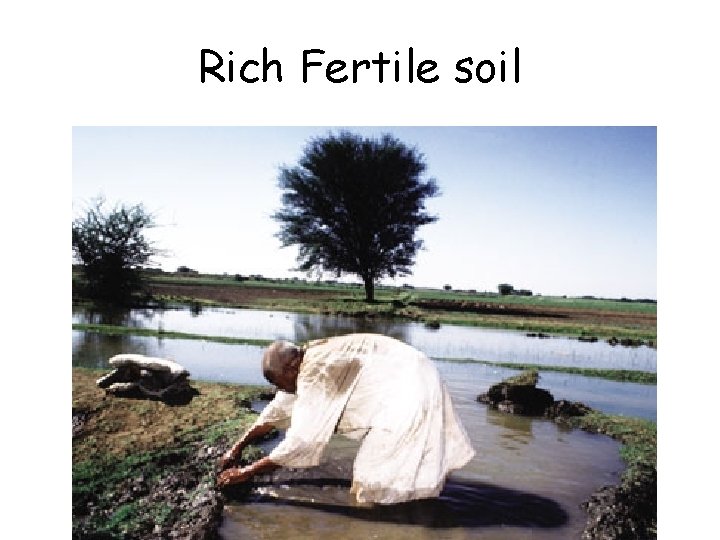 Rich Fertile soil 