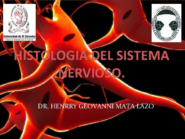 HISTOLOGIA DEL SISTEMA NERVIOSO. DR. HENRRY GEOVANNI MATA LAZO 