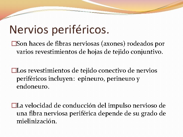 Nervios periféricos. �Son haces de fibras nerviosas (axones) rodeados por varios revestimientos de hojas