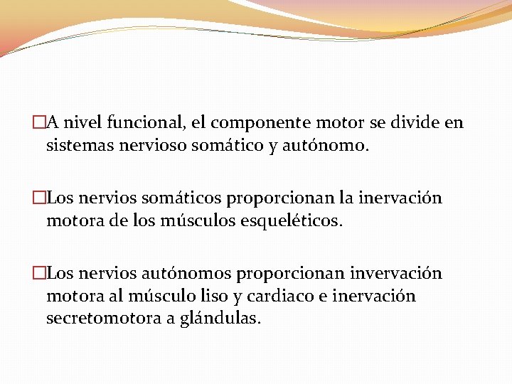 �A nivel funcional, el componente motor se divide en sistemas nervioso somático y autónomo.