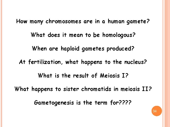How many chromosomes are in a human gamete? What does it mean to be
