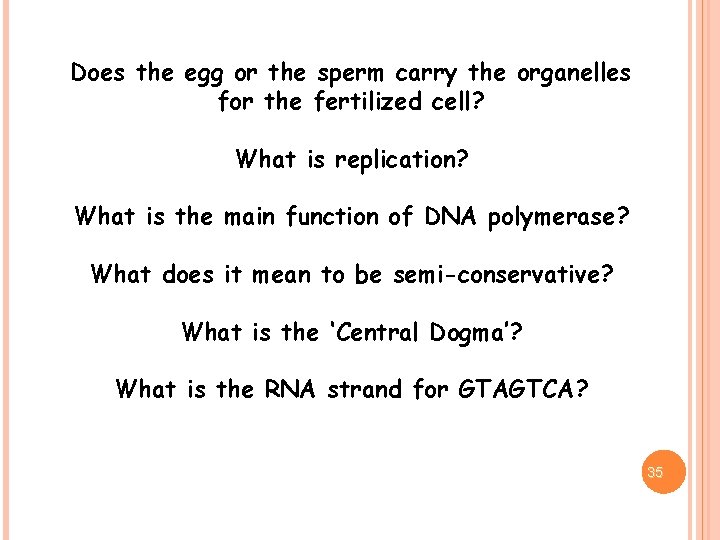 Does the egg or the sperm carry the organelles for the fertilized cell? What