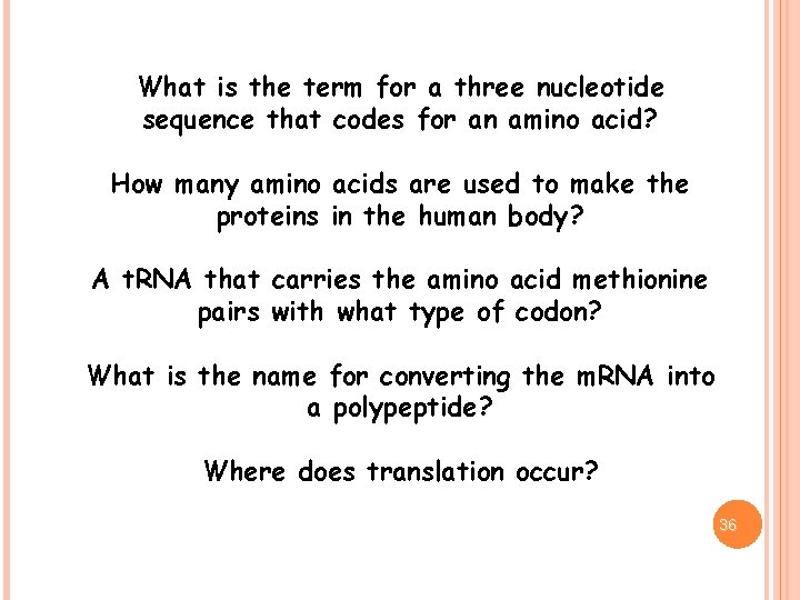 What is the term for a three nucleotide sequence that codes for an amino