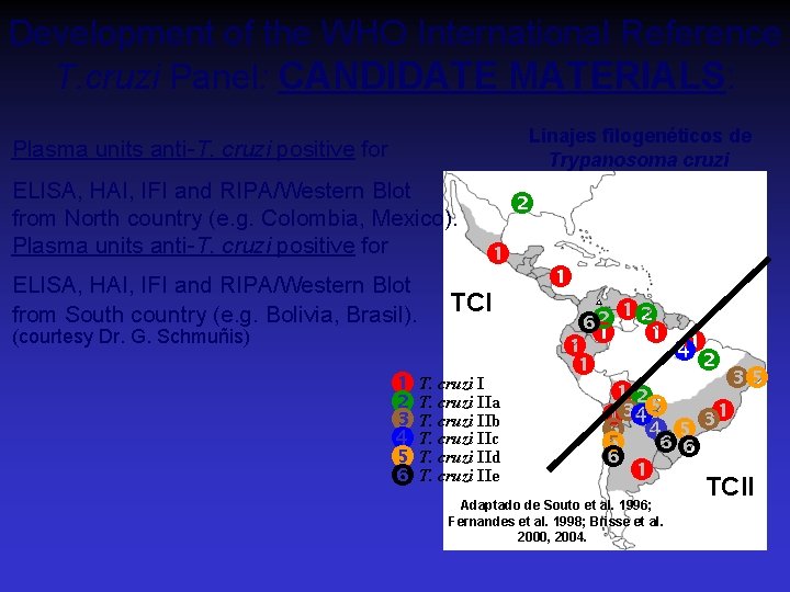 Development of the WHO International Reference T. cruzi Panel: CANDIDATE MATERIALS: Linajes filogenéticos de