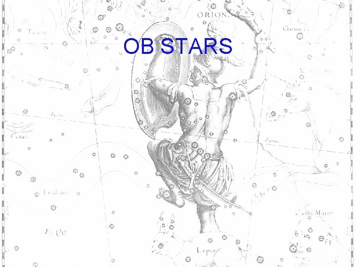 OB STARS 