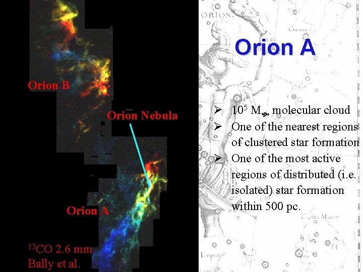 Orion A Orion B Orion Nebula Orion A 13 CO 2. 6 mm Bally