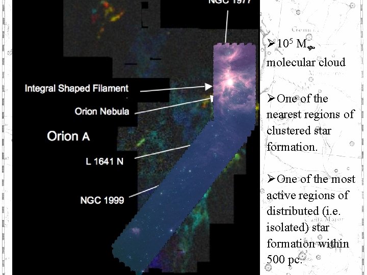 Orion A Ø 105 M molecular cloud ØOne of the nearest regions of clustered