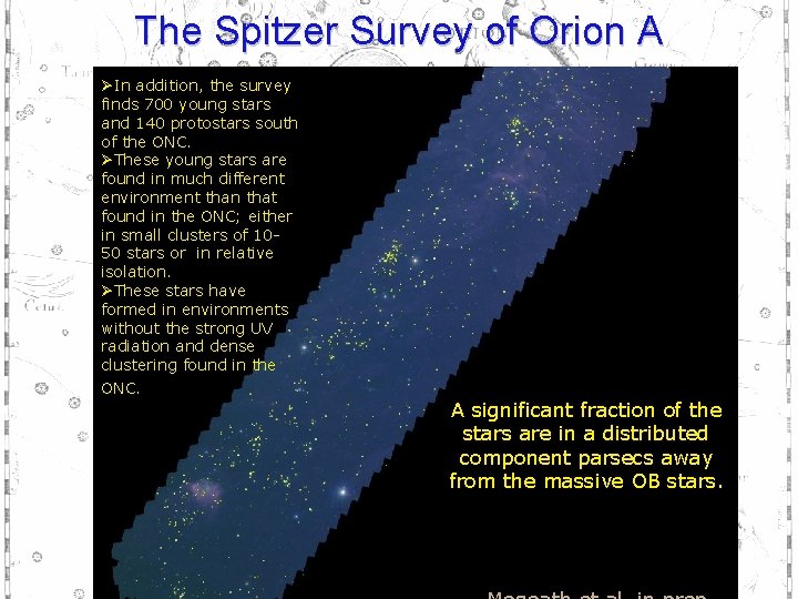 The Spitzer Survey of Orion A ØIn addition, the survey finds 700 young stars