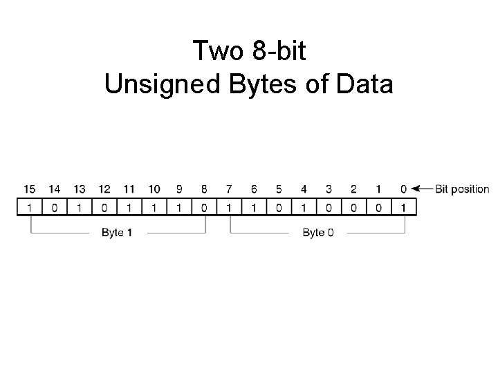 Two 8 -bit Unsigned Bytes of Data Two 8 -bit Unsigned Bytes of Data