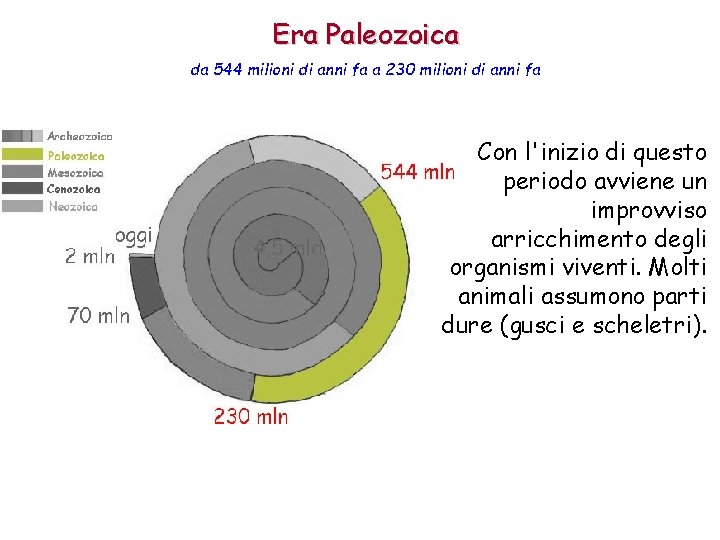 Era Paleozoica da 544 milioni di anni fa a 230 milioni di anni fa