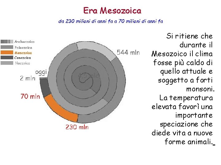 Era Mesozoica da 230 milioni di anni fa a 70 milioni di anni fa