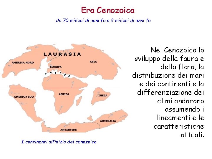 Era Cenozoica da 70 milioni di anni fa a 2 milioni di anni fa