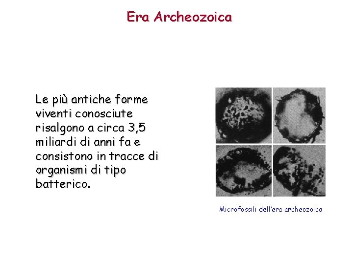 Era Archeozoica Le più antiche forme viventi conosciute risalgono a circa 3, 5 miliardi