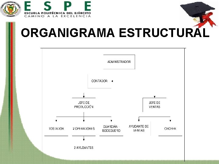 ORGANIGRAMA ESTRUCTURAL 