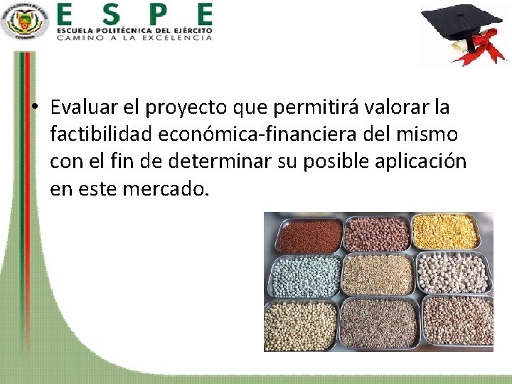  • Evaluar el proyecto que permitirá valorar la factibilidad económica-financiera del mismo con