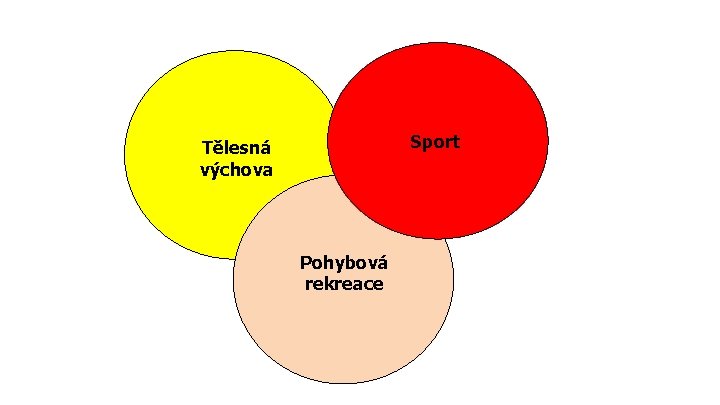 Sport Tělesná výchova Pohybová rekreace 