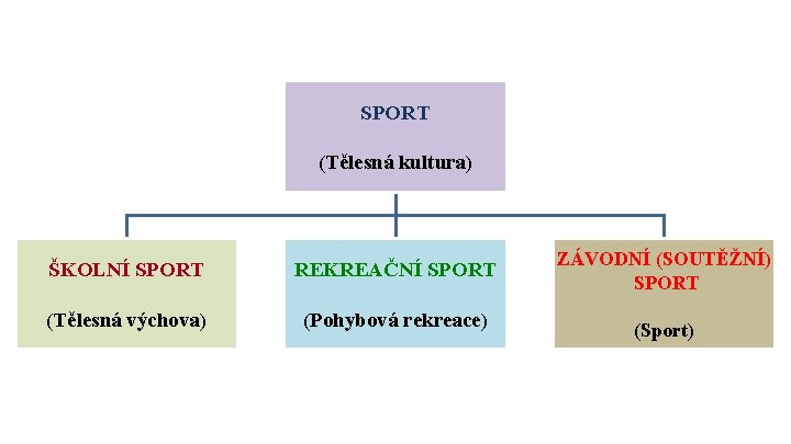 SPORT (Tělesná kultura) ŠKOLNÍ SPORT REKREAČNÍ SPORT (Tělesná výchova) (Pohybová rekreace) ZÁVODNÍ (SOUTĚŽNÍ) SPORT