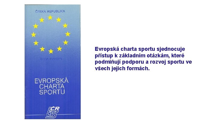 Evropská charta sportu sjednocuje přístup k základním otázkám, které podmiňují podporu a rozvoj sportu