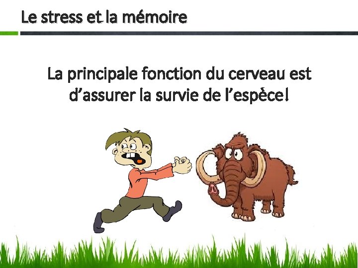 Le stress et la mémoire La principale fonction du cerveau est d’assurer la survie