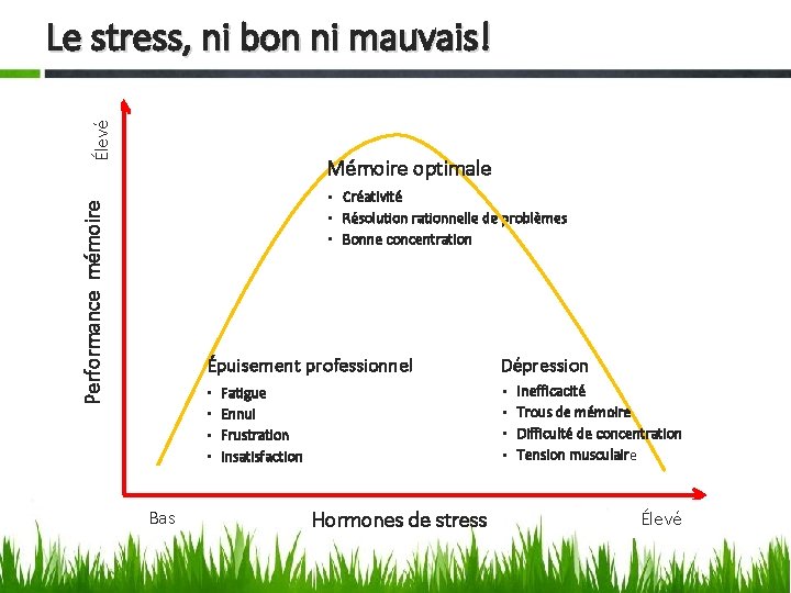 Mémoire optimale • Créativité • Résolution rationnelle de problèmes • Bonne concentration Performance mémoire