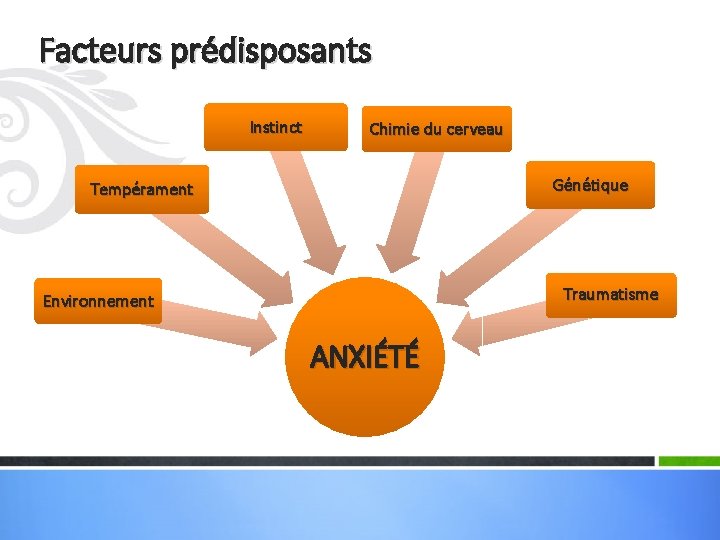 Facteurs prédisposants Instinct Chimie du cerveau Génétique Tempérament Traumatisme Environnement ANXIÉTÉ 