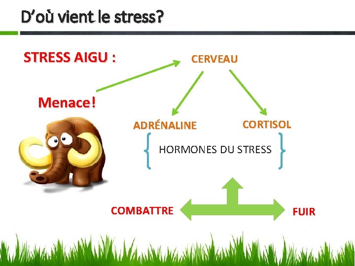 D’où vient le stress? STRESS AIGU : CERVEAU Menace! ADRÉNALINE CORTISOL HORMONES DU STRESS