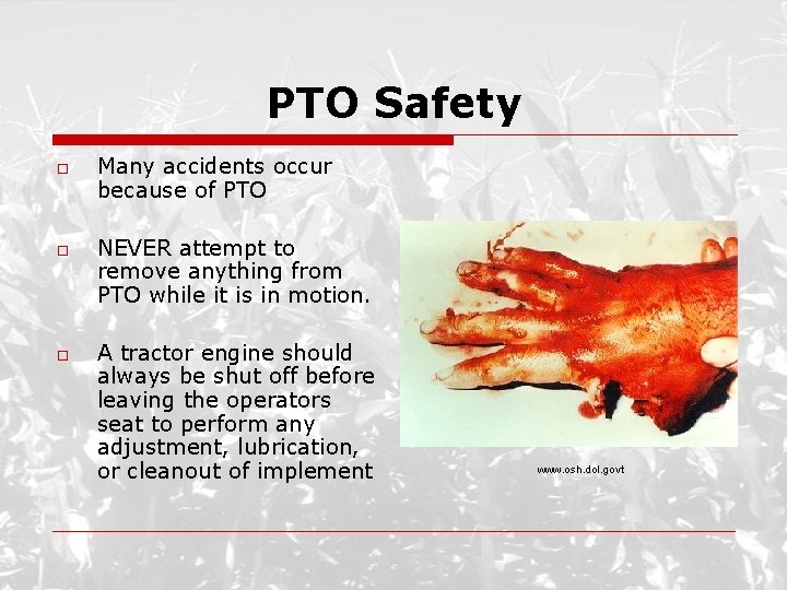 PTO Safety o o o Many accidents occur because of PTO NEVER attempt to