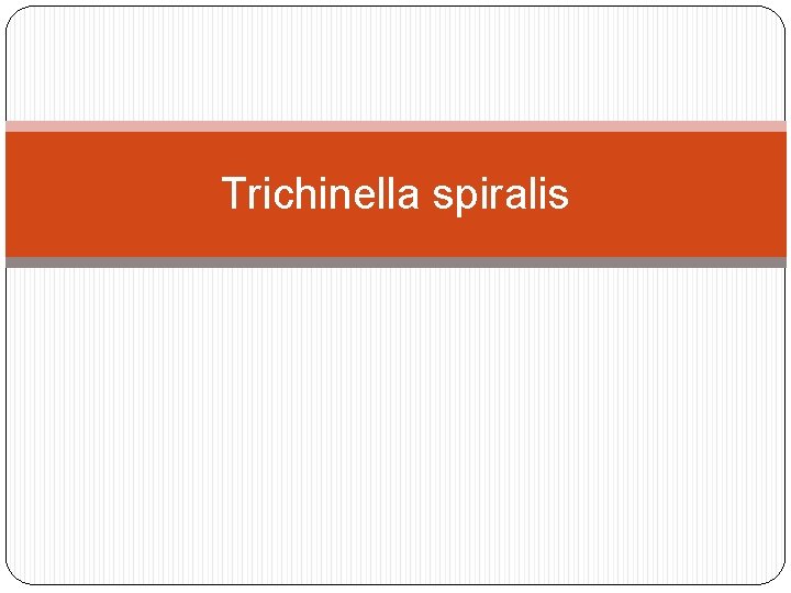 Trichinella spiralis 
