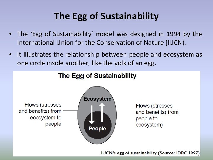 The Egg of Sustainability • The ‘Egg of Sustainability’ model was designed in 1994