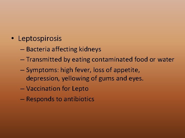  • Leptospirosis – Bacteria affecting kidneys – Transmitted by eating contaminated food or