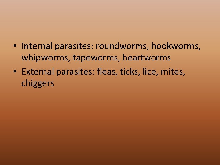  • Internal parasites: roundworms, hookworms, whipworms, tapeworms, heartworms • External parasites: fleas, ticks,