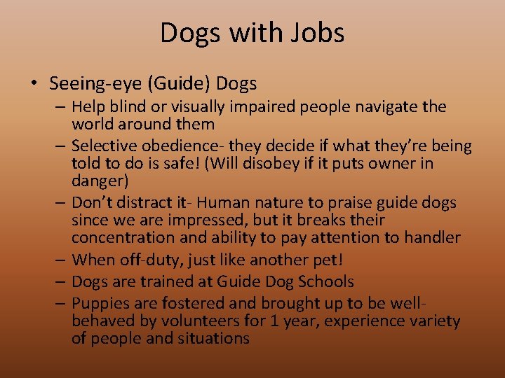 Dogs with Jobs • Seeing-eye (Guide) Dogs – Help blind or visually impaired people