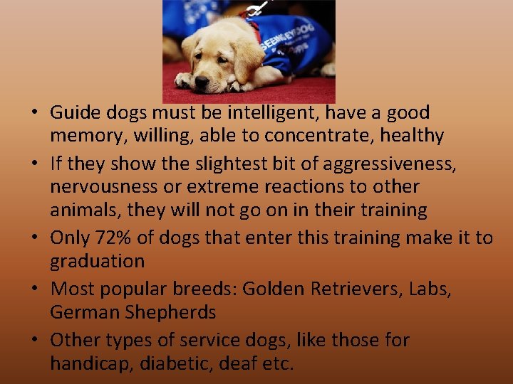  • Guide dogs must be intelligent, have a good memory, willing, able to
