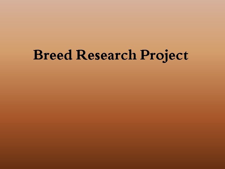 Breed Research Project 