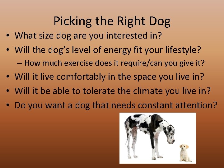 Picking the Right Dog • What size dog are you interested in? • Will