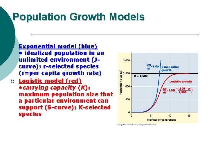 Population Growth Models ¡ ¡ Exponential model (blue) • idealized population in an unlimited
