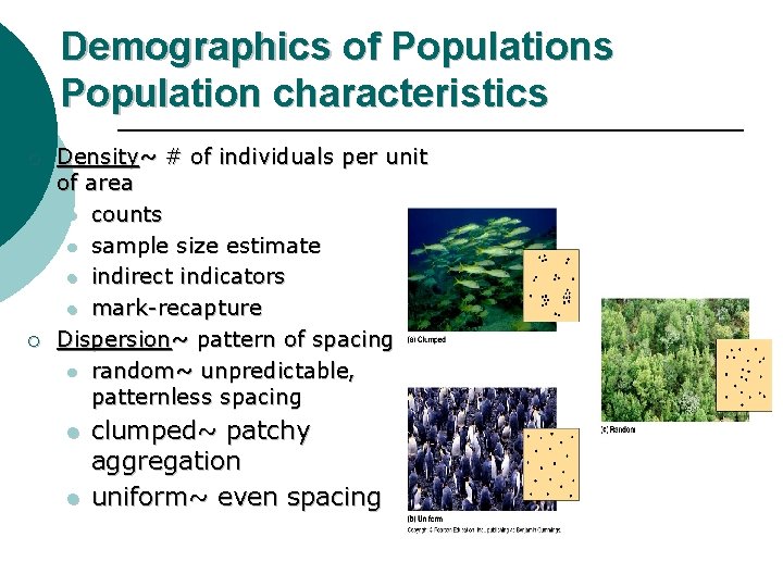 Demographics of Populations Population characteristics ¡ ¡ Density~ # of individuals per unit of
