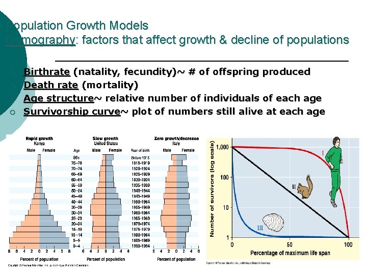 Population Growth Models Demography: factors that affect growth & decline of populations ¡ ¡