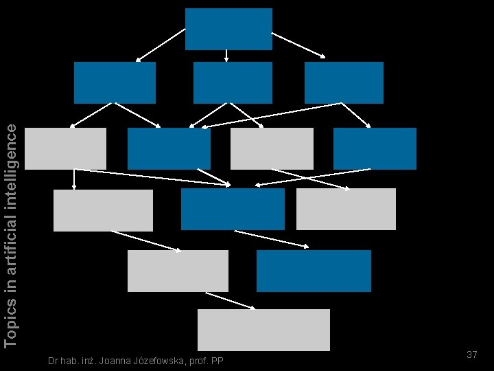 Topics in artificial intelligence NIM Dr hab. inż. Joanna Józefowska, prof. PP 37 