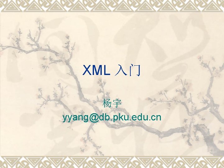 XML 入门 杨宇 yyang@db. pku. edu. cn 