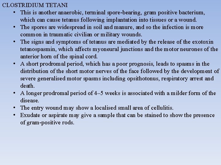 CLOSTRIDIUM TETANI • This is another anaerobic, terminal spore-bearing, gram positive bacterium, which can