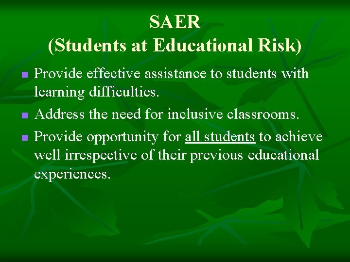 SAER (Students at Educational Risk) n n n Provide effective assistance to students with